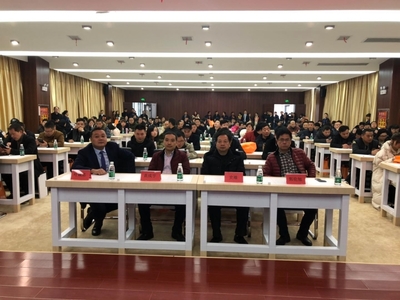 粵港攜手，共創(chuàng)未來 散墻辦成功舉辦模科新材料技術推介會